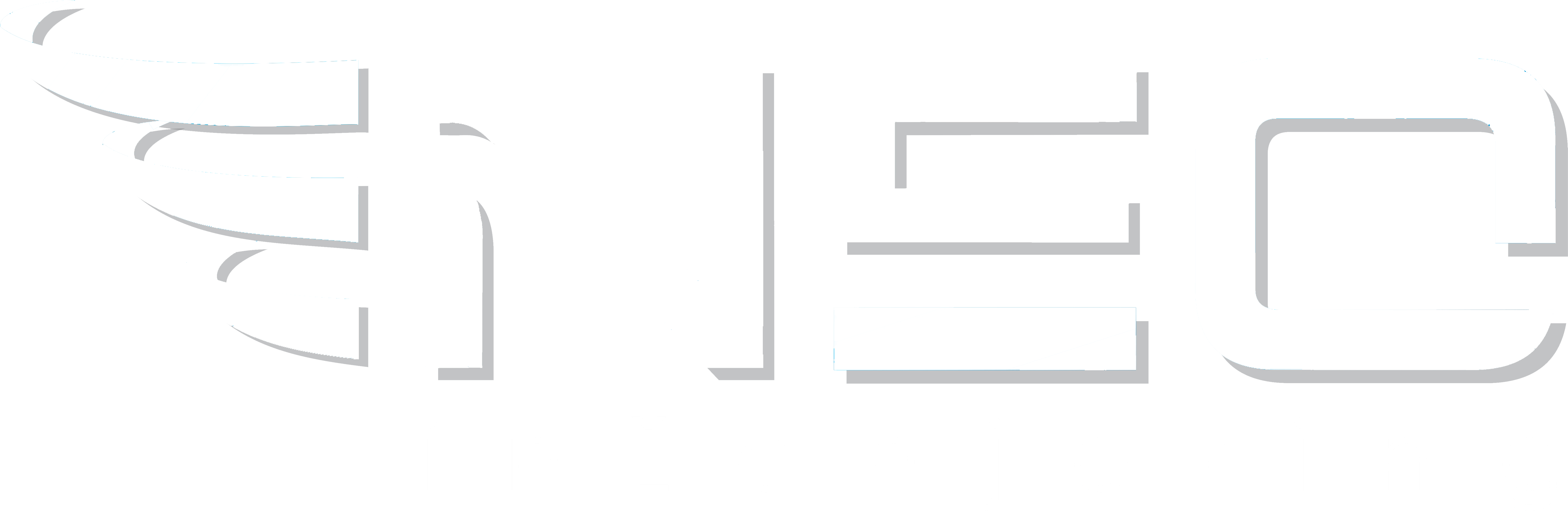 Neo Inzenjering